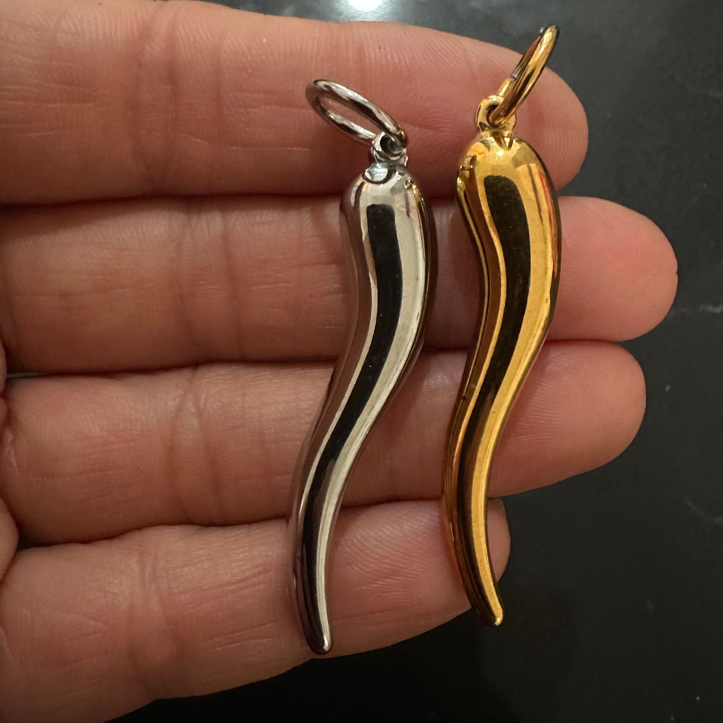 Stainless Horn Pendant