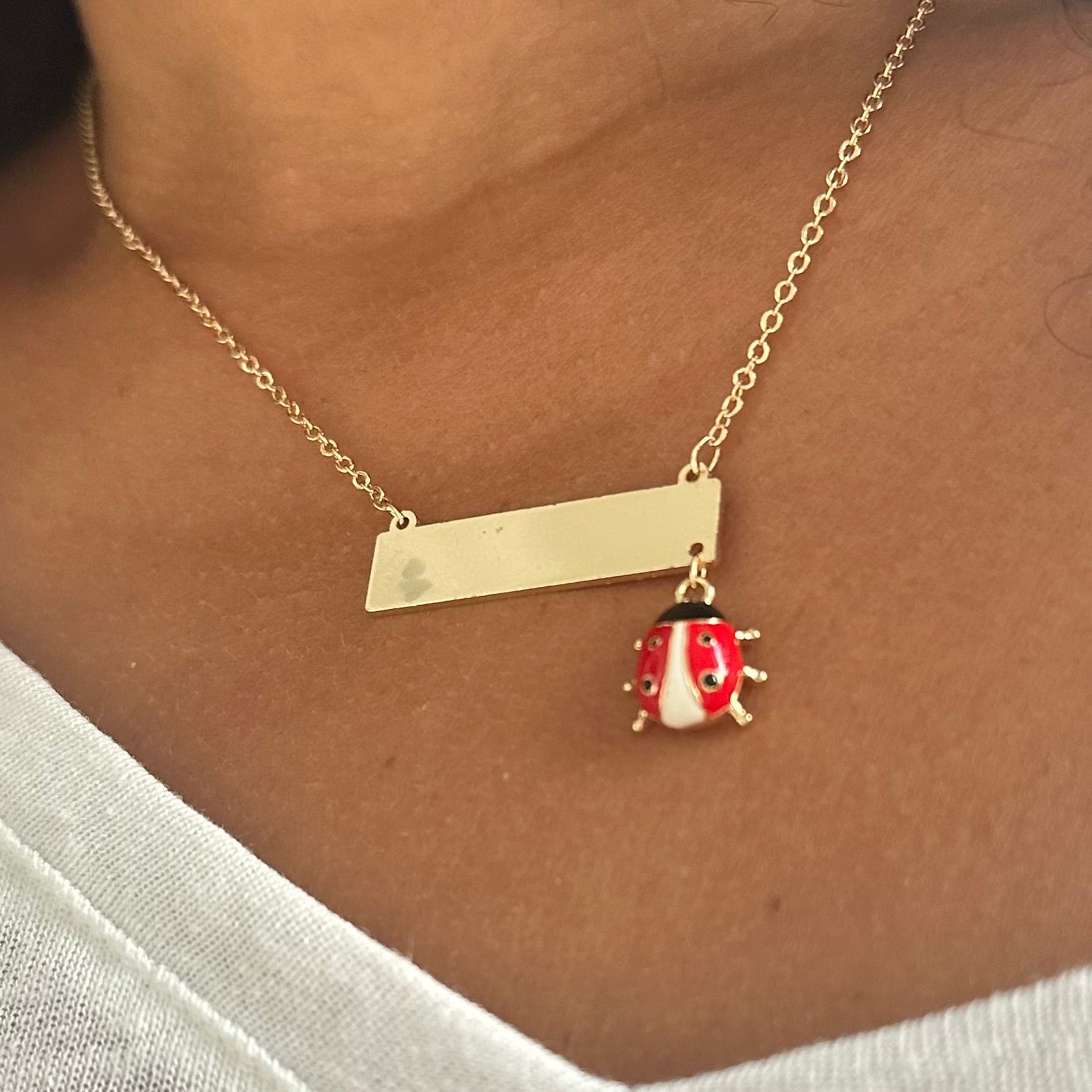 Lady Bug Nameplate